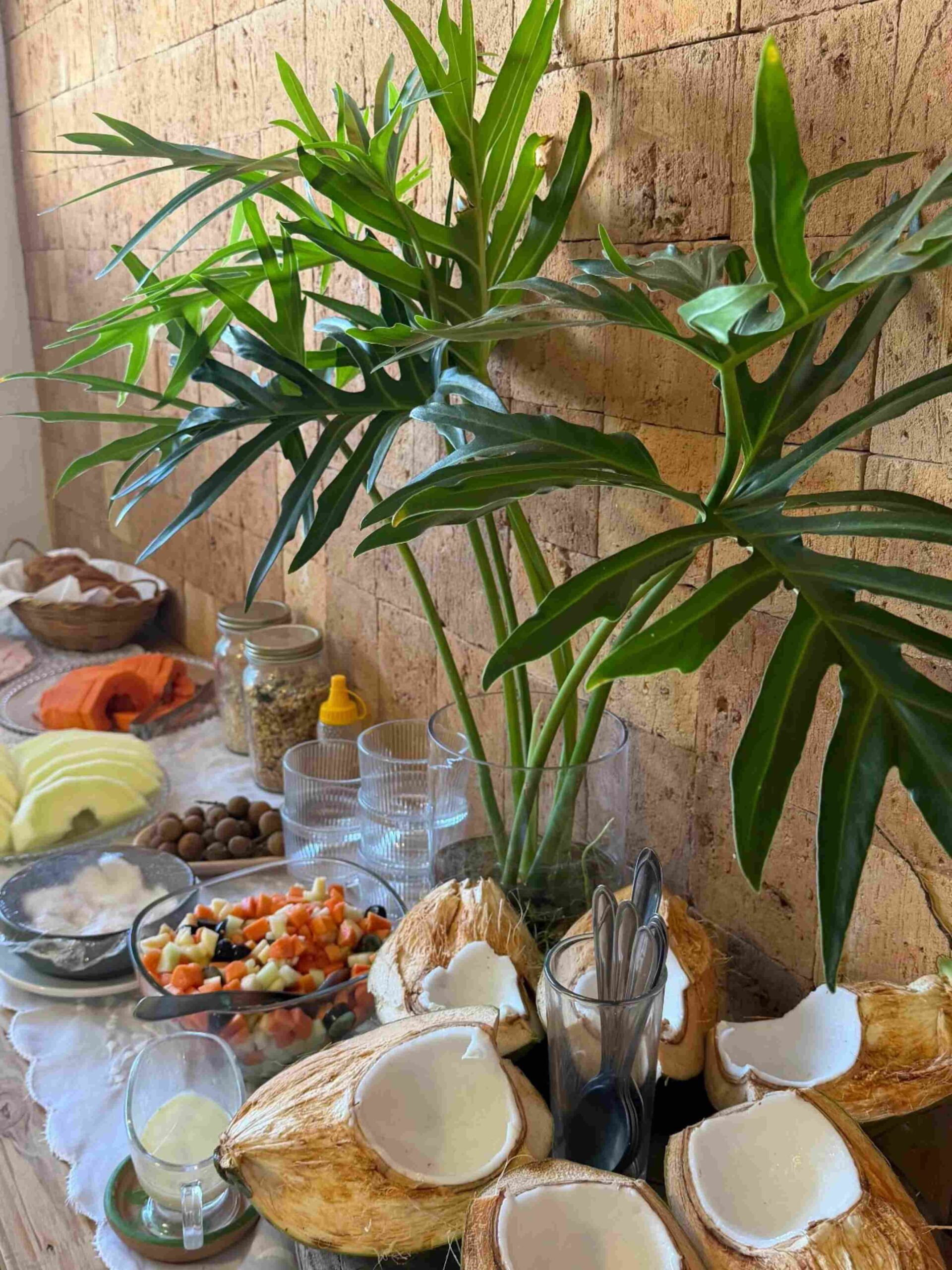 mangaba-restaurante